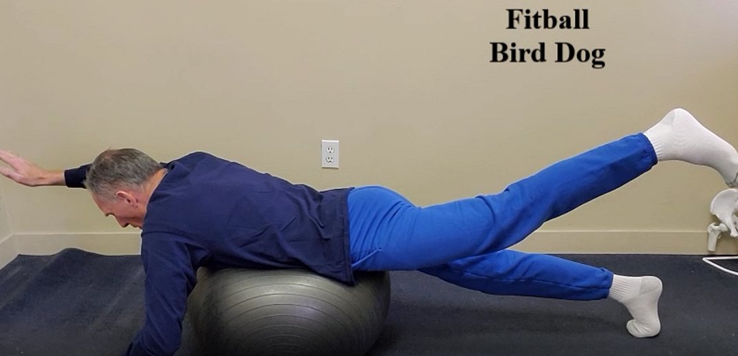 drdozellodc's tweet photo. Fitball Bird Dog Exercise
Dr Donald Ozello DC of Championship Chiropractic
#vegas #chiropractor #chiropractic #sportsmedicine #thoracic #thoracicspine #thoracicspineexercise #fitball #fitballexercises #posture #posturecorrection #posturecorrectionexercise
https://t.co/aPGBaMOZ8O https://t.co/UYBxfpCMxM