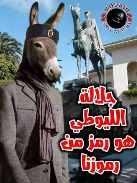 SAL___67's tweet photo. @bdlmd20 @derradjihafid سقسي شكون اسس مهلكة الحشيش وسماها مروكو يا اولاد 🇫🇷🇫🇷🇫🇷 حنا نتكلموا بالتاريخ مشي فالوتوشوب لانو بالفوتوشوب نصورلك يماك راقدة معايا عادي https://t.co/cxTttBUVr0