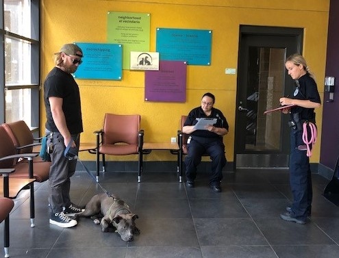 Denver Animal Shelter on Twitter: "Congratulations to Derek Scott with Denver Animal Protection