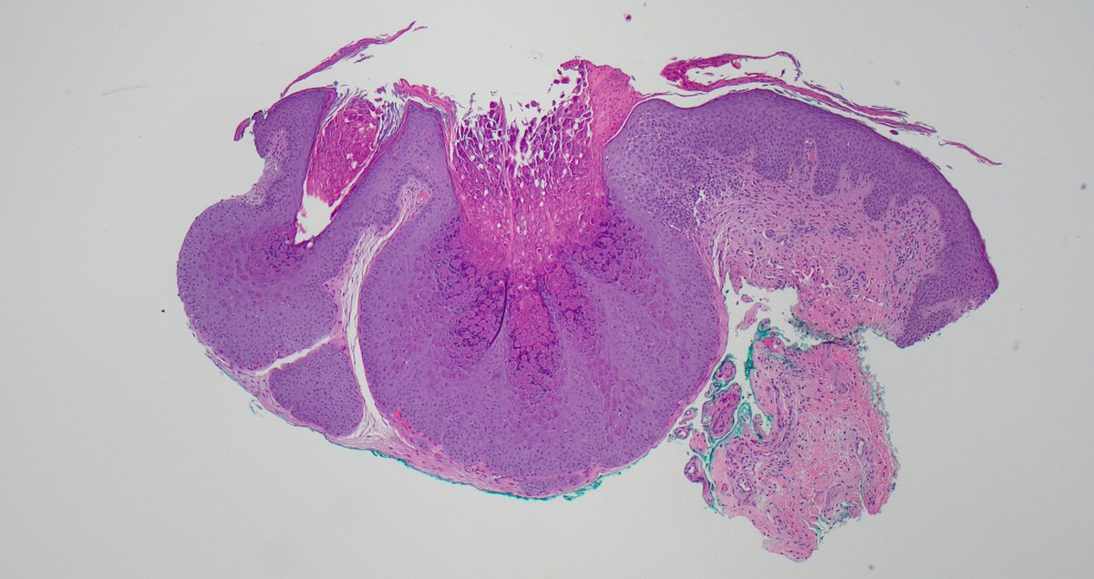 Signout Machine ⚙️ tweet media