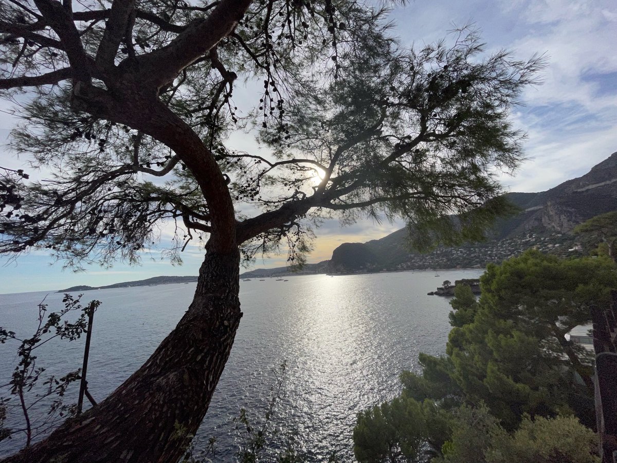 Letslovetweet's tweet photo. Vue sur st jean cap ferrat , du cap Estel …#CotedAzurFrance #capestel #AlpesMaritimes #lariviera https://t.co/dnomsoihCR