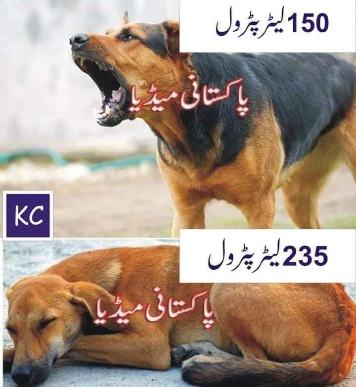 Jahangi12023's tweet image. #Uffffff 
ابھی اتنی گہری نیند میں ہیں