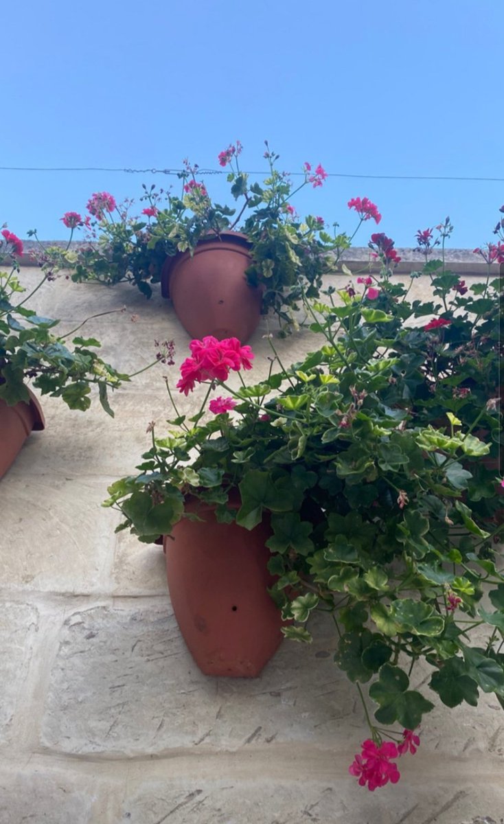 Esto de vivir consiste en tener un norte y en que este sea noble, limpio y desinteresado. Y, también consiste en estar atentos, en respirar la vida conscientes de que la respiramos...