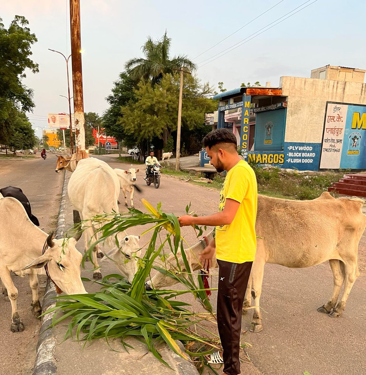 Ajaymehra3377's tweet photo. डोल एकादशी की आप सभी को हार्दिक बधाई एवं शुभकामनाएं ! https://t.co/XNF74QL3uF