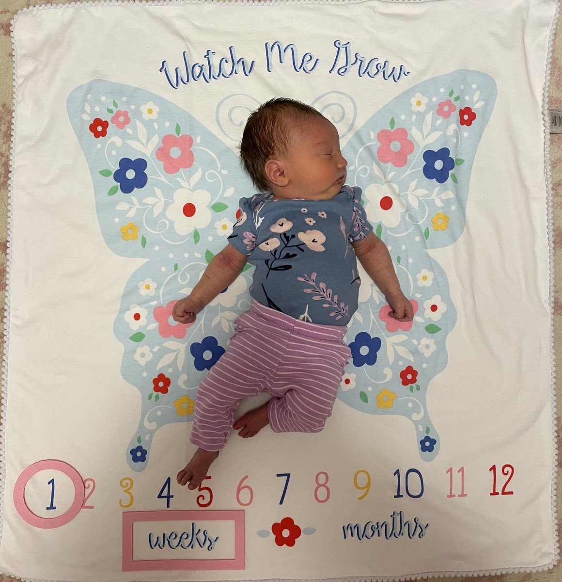 AmberDenton96's tweet photo. How have you already grown so much?! 🥹 https://t.co/hnbIv51adI