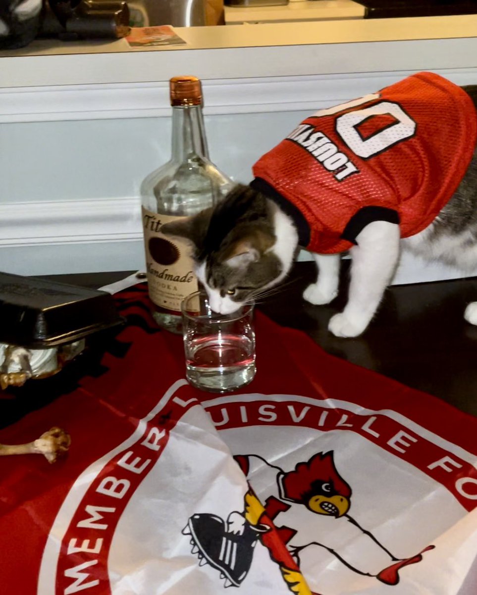 jbdhscott01's tweet photo. Same Marvel same.😅@LouisvilleFB @GoCards #CardiacCards  #L1C4 https://t.co/Q9rUYfCjqn