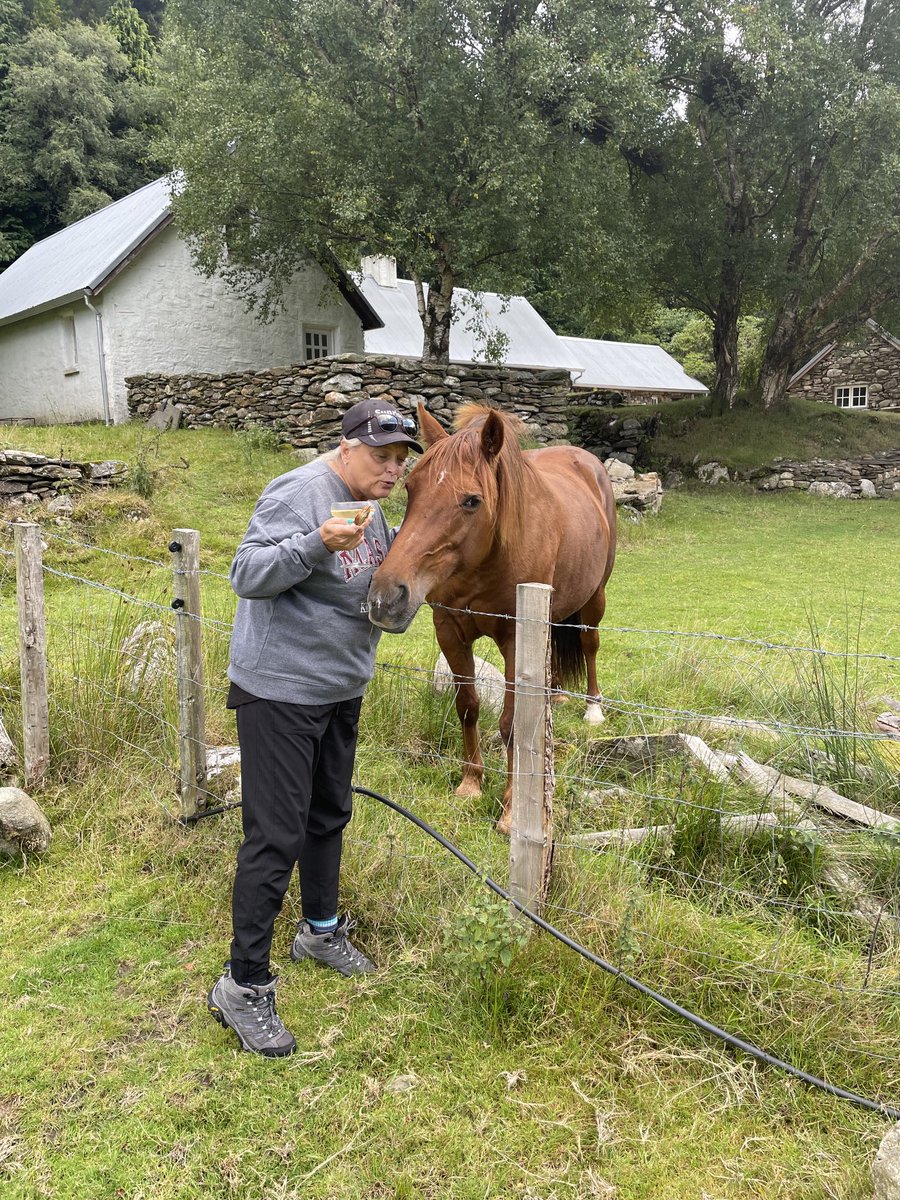 GeorgeSecor's tweet image. Hiking excursion Wicklow Overland part 1 #ChefAndrewRudd #OrangeWorks #Ireland2022 #CraftedIreland