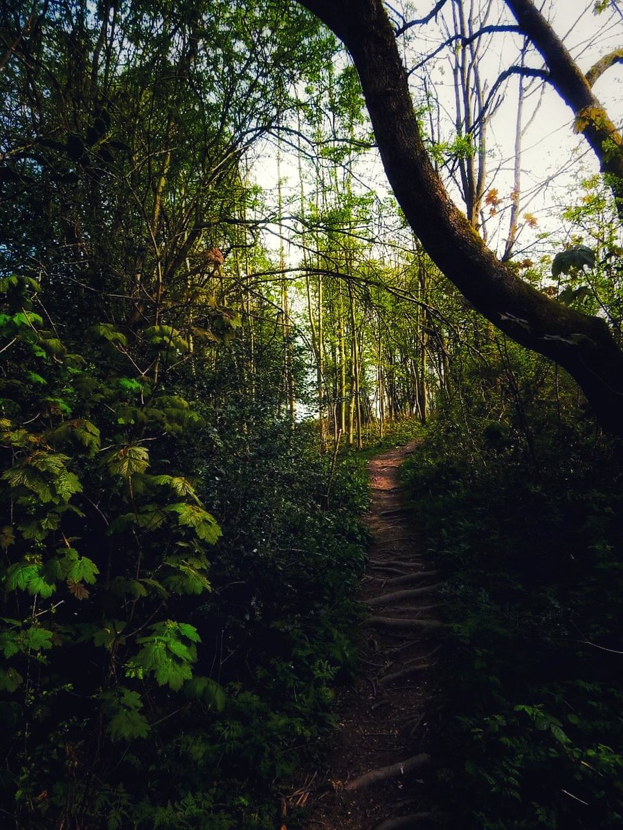 lunopics's tweet photo. @Chris_ik_photos https://t.co/OrzwlBDYRx
