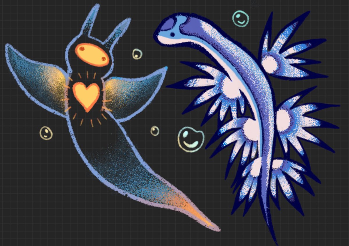 passionpeachy's tweet photo. sea slugs https://t.co/DRCo5vVpQN