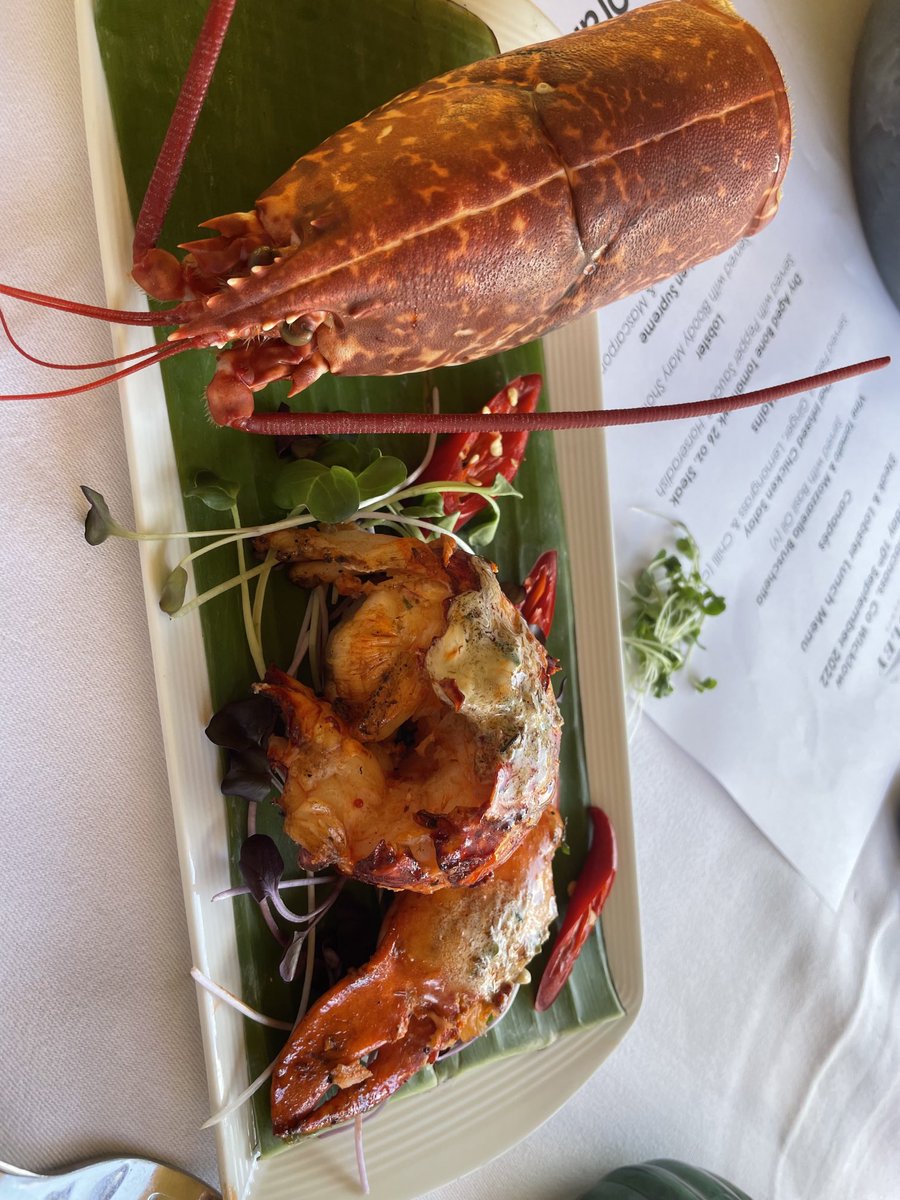 GeorgeSecor's tweet image. Hiking excursion Wicklow Overland part 3 #ChefAndrewRudd #OrangeWorks #Ireland2022 #CraftedIreland