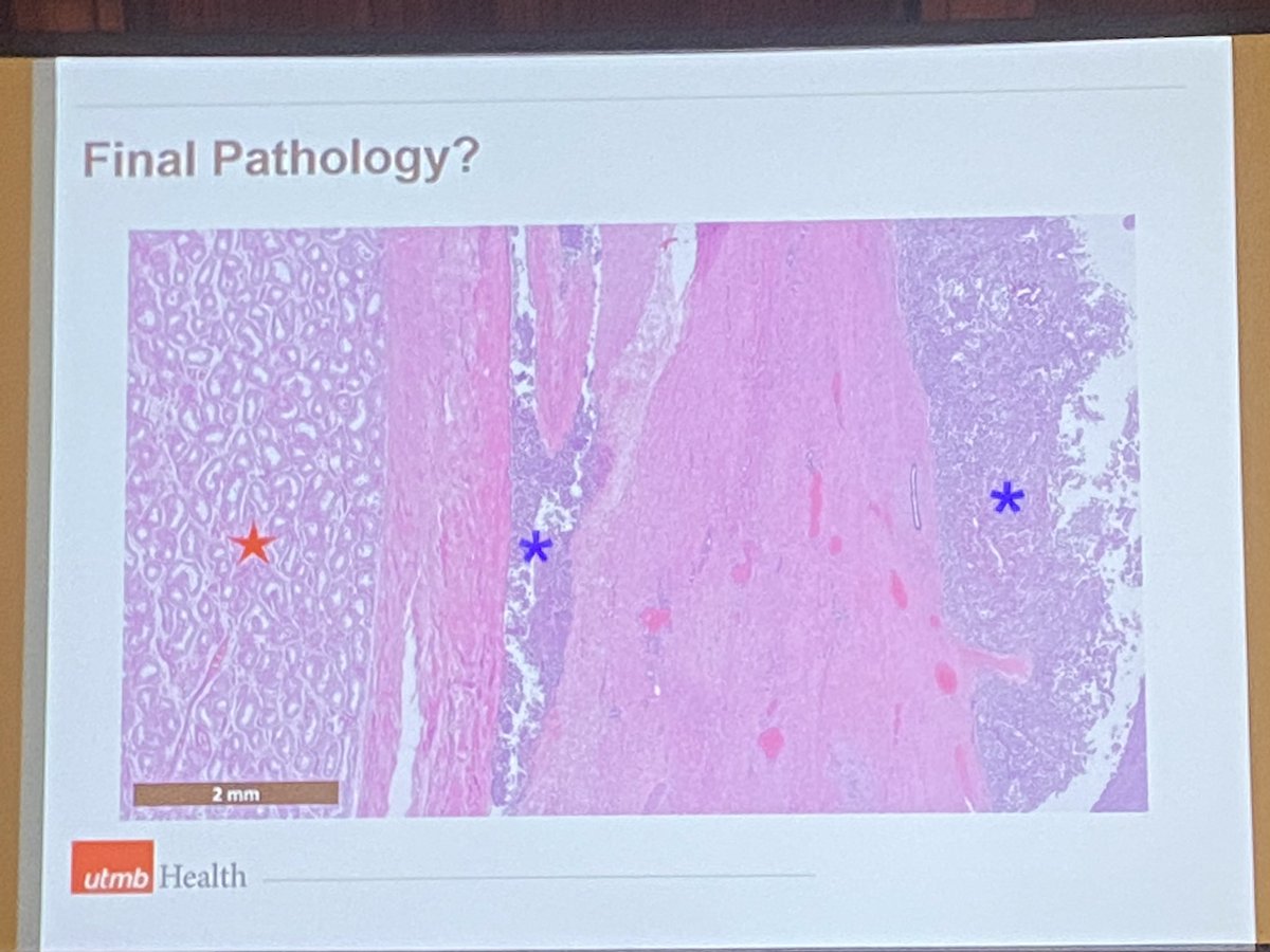 UTMBUrology tweet media