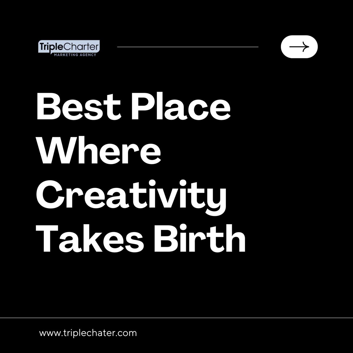 TripleCharter's tweet image. Best Place Where Creativity Takes Birth.

Who dosen't get creative in toilet 😂
.
.
.
#toilet #memes #marketingmemes #creativememes #memesdaily #digitalmarketingmemes #sanitaryware #adultmeme #punecity #indiamarketing #socialmediamarketing #Angular #JavaScript #HTML #twitme