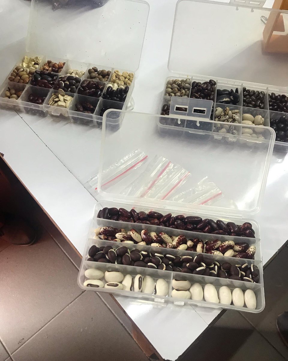 Kate Denning-James tweet media