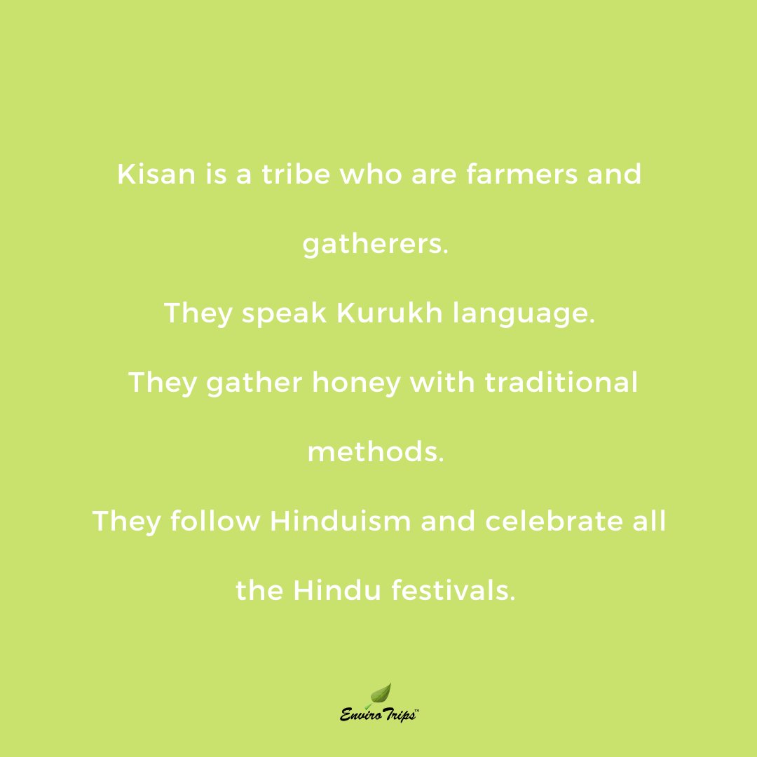 ENVIRO_TRIPS's tweet photo. KISAN TRIBE:

• The Kisan or nagesia are a tribal group found in Odisha, West Bengal and Jharkhand.

• They are traditional farmers and a food gathering people.

• They speak Kisan, a dialect of Kurukh, as well as Odia and Sambalpuri.

#kisan #kisanculture #kisantribe #tribe https://t.co/1SxFRhLkEP