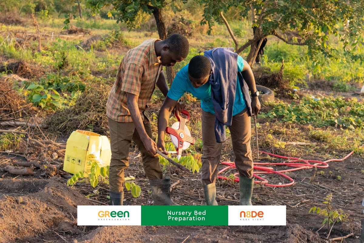 NodeEight's tweet image. Node Eight #GreenCubator Program - Farm Day

Farm time is fun time!  From 6 pm to 8 pm under the moonlight and with our favorite &quot;farm special&quot; roasted cassava, our young farmers worked in teams of two to nurse their respective seeds.

Team One - Tomatoes and Watermelon 👇👇👇