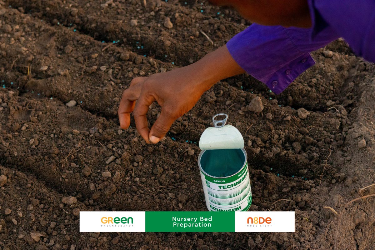 NodeEight's tweet image. Node Eight #GreenCubator Program - Farm Day

Farm time is fun time!  From 6 pm to 8 pm under the moonlight and with our favorite &quot;farm special&quot; roasted cassava, our young farmers worked in teams of two to nurse their respective seeds.

Team One - Tomatoes and Watermelon 👇👇👇