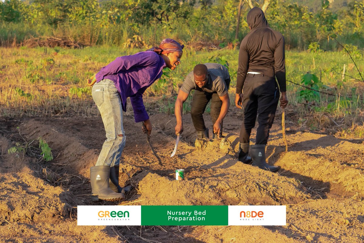NodeEight's tweet image. Node Eight #GreenCubator Program - Farm Day

Farm time is fun time!  From 6 pm to 8 pm under the moonlight and with our favorite &quot;farm special&quot; roasted cassava, our young farmers worked in teams of two to nurse their respective seeds.

Team One - Tomatoes and Watermelon 👇👇👇