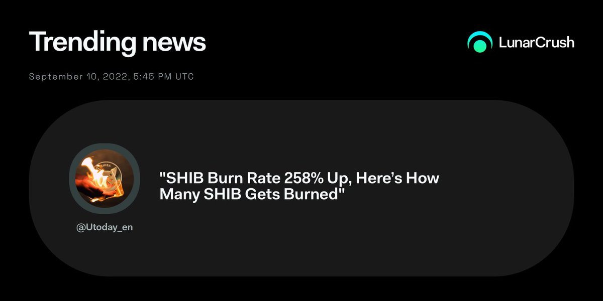 Shaun Dibb tweet media