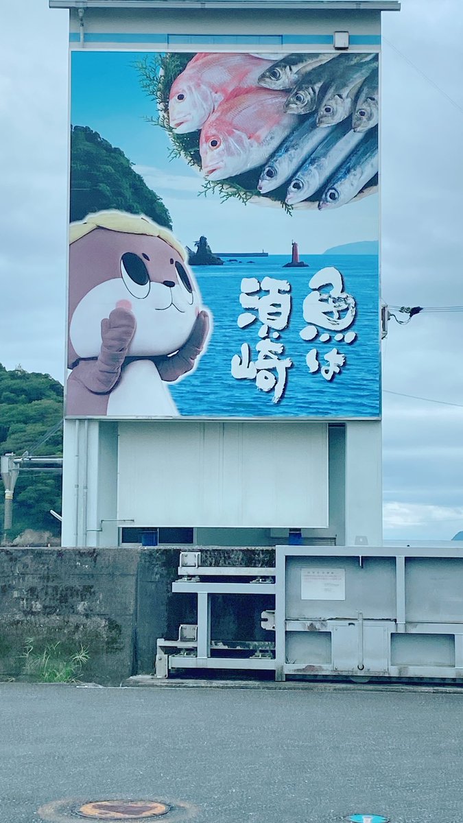 mikkeichi's tweet image. #須崎 に来たらこれは、外せない
#しんこ
カツオのまだ若い魚 #ソウダカツオ
#いいものみっけ

さて、明日
💖9/11(日)早朝6:30
インスタライブしますにゃん💖
須崎のいいものみっけ配信
明日は素敵な風景が✨
