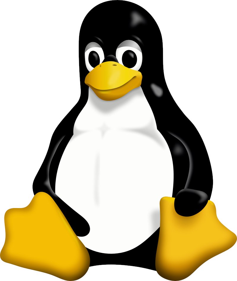 Il y a 31 ans, le 17 septembre 1991, fut mise à disposition la toute première version du noyaux Linux, la 0.0.1, par Linus Torvalds. Ce noyau, associé au projet GNU, sera la base des distributions Linux qui remplaceront les systèmes Unix en quelques années #LaPetiteInfoDuJour