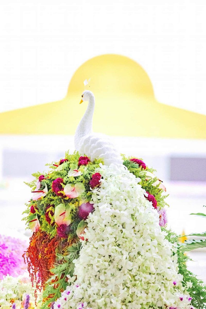 torphun0223's tweet photo. ✨๑๐๕ ปี วันครูผู้ค้นพบวิชาธรรมกาย
(ครบรอบ ๒๒ ปี วันคล้ายวันละสังขารคุณยายอาจารย์ มหารัตนอุบาสิกาจันทร์ ขนนกยูง)

๑๐ กันยายน ๒๕๖๕ 
#วันพระใหญ่ ขึ้น ๑๕ ค่ำ เดือน ๑๐
ณ #วัดพระธรรมกาย https://t.co/PneGPPEgTl