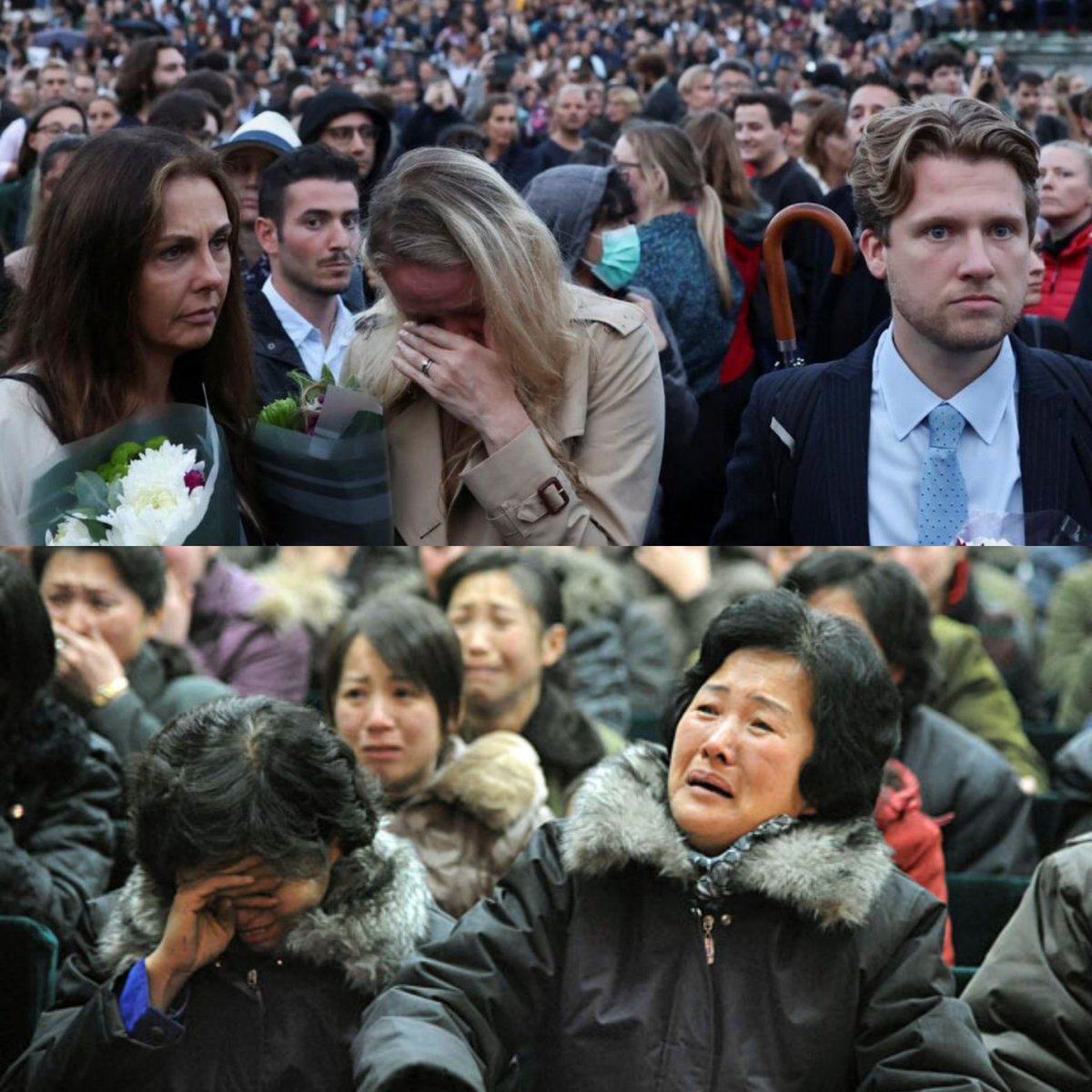 Aníbal Garzón 🌎 tweet media