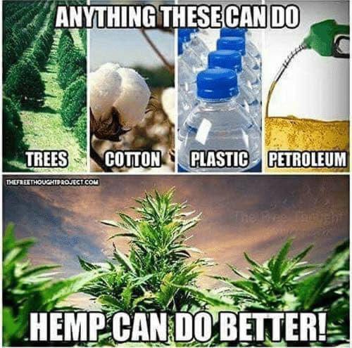 Its_Sh4w_Time's tweet photo. The reintroduction of hemp production is solid place to start. Hemp sequesters more carbon than trees and can be turned into all kinds of materials from plastics to building materials. $CBD

#CBDEFI #SEAPOLUTION https://t.co/axO6mkhtPH