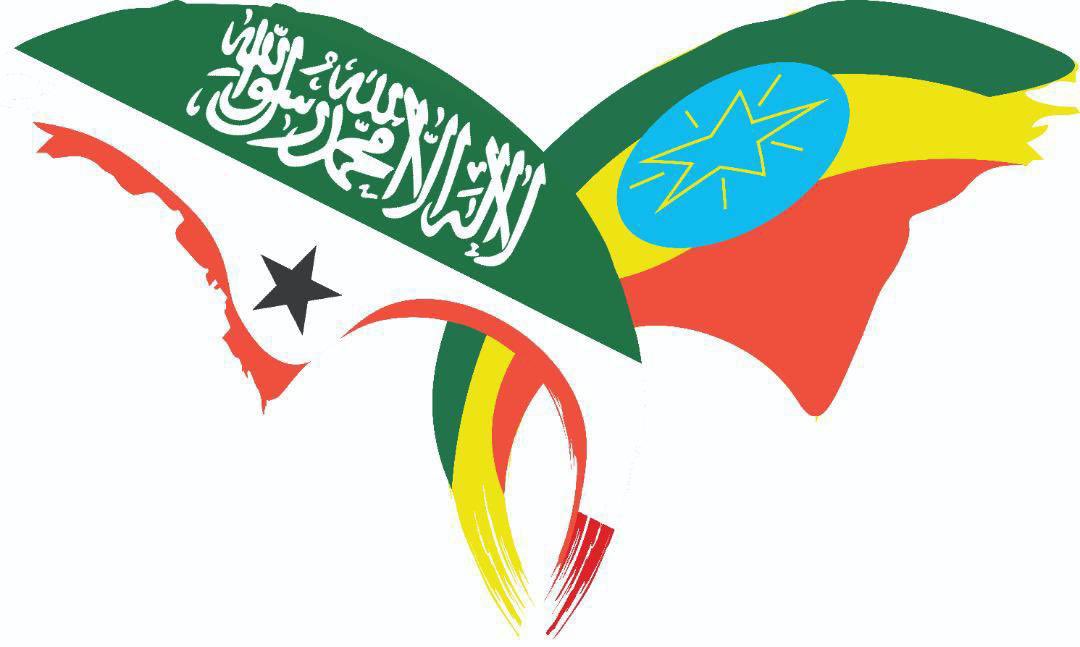 CAWADAYN's tweet photo. Happy New Year 2015!

 Wishing all Ethiopians and residents in #Ethiopia a happy new year, I wish you a happy new year of peace, prosperity. #Somaliland @somalilandmfa https://t.co/z8VTXDGQPC
