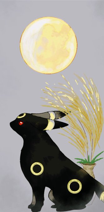 ブラッキー 