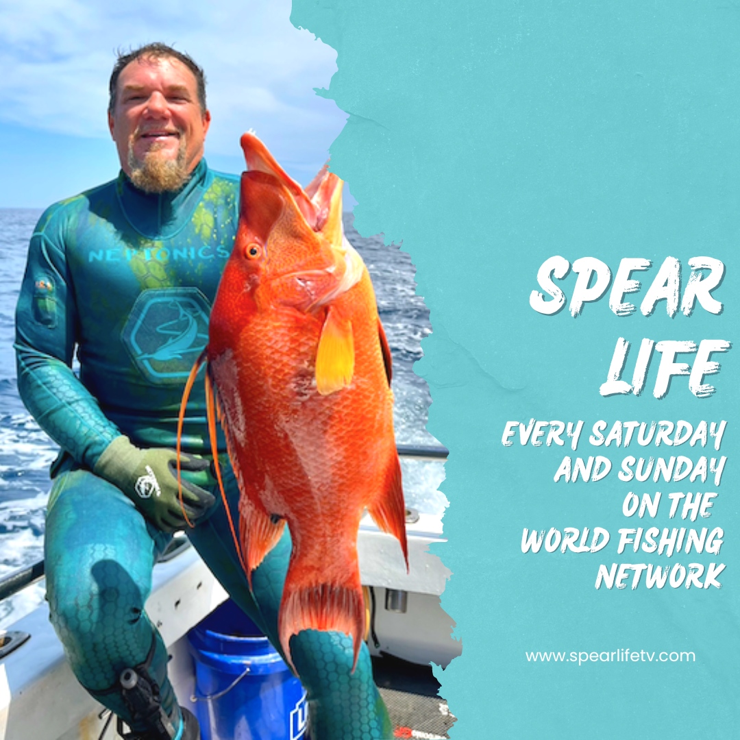 Outdoor_TV's tweet photo. Join Jon on Spear Life at 2:30 pm on Saturdays and 7:30 pm EST on the WorldFishingNetwork 😎

#spearlife #addicted #WFN #spearfishing https://t.co/Whlsq7SlAZ