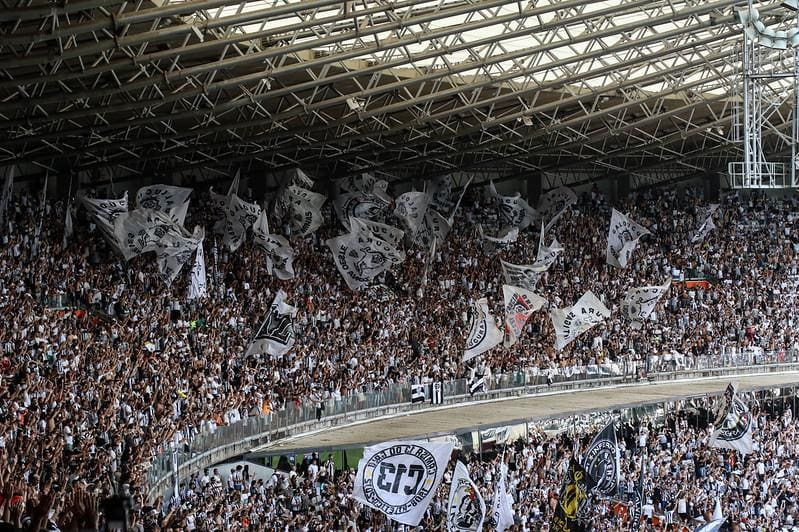 Cortes do galo tweet media