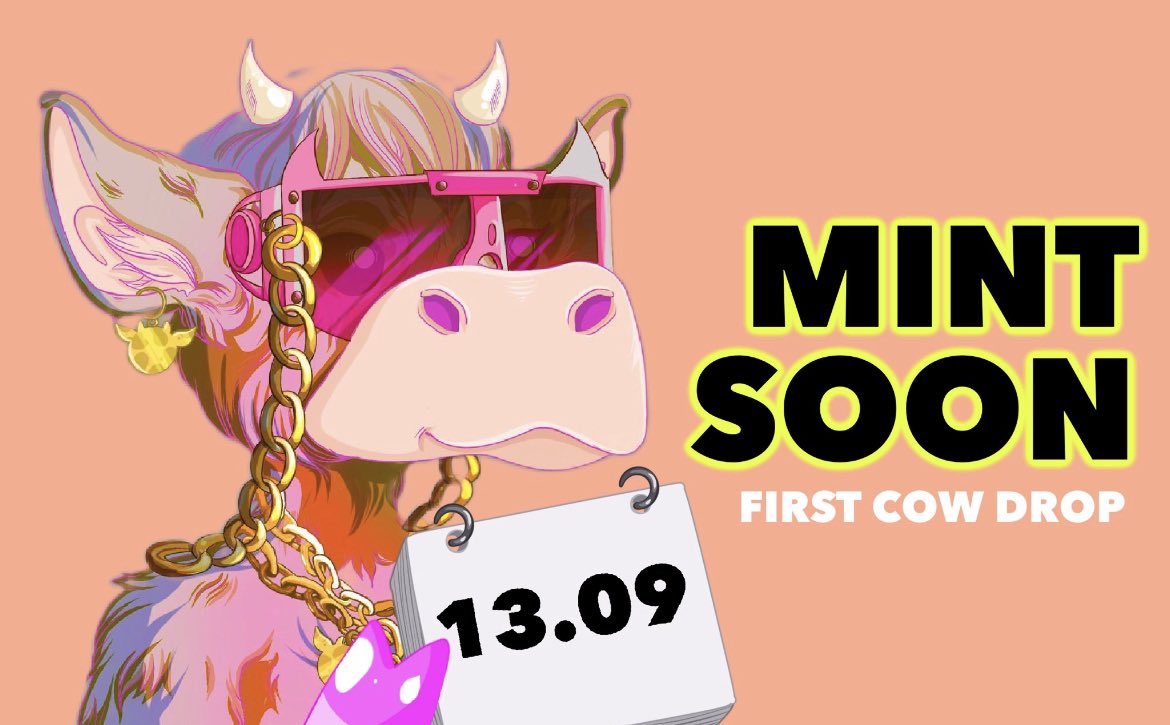 Ximirøy tweet media