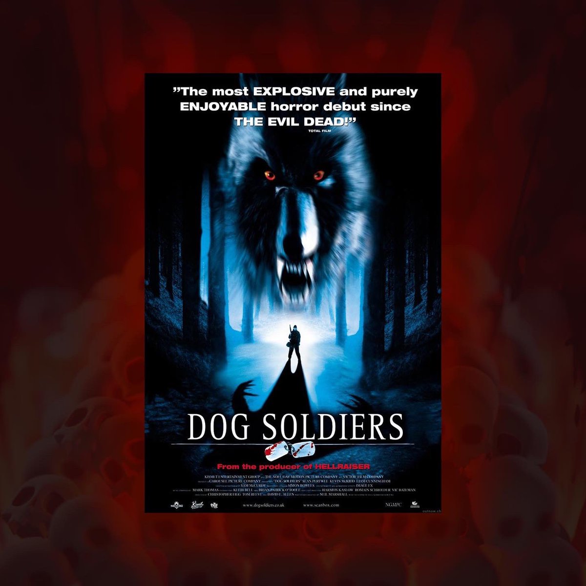 dead_northern's tweet photo. 🐺 DOG SOLIDERS🐺

The first of our classics playing Friday 23rd Sept 9.00pm at this years festival!!

Can’t make the whole fest? Individual tickets are now available!

(Link in bio)

#deadnorthern #york #cityscreen #picturehouse #neilmarshall #dogsoliders #horror #classichorror https://t.co/gjalR0dSZo