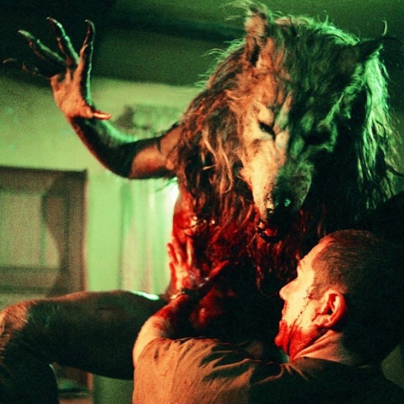 dead_northern's tweet photo. 🐺 DOG SOLIDERS🐺

The first of our classics playing Friday 23rd Sept 9.00pm at this years festival!!

Can’t make the whole fest? Individual tickets are now available!

(Link in bio)

#deadnorthern #york #cityscreen #picturehouse #neilmarshall #dogsoliders #horror #classichorror https://t.co/gjalR0dSZo
