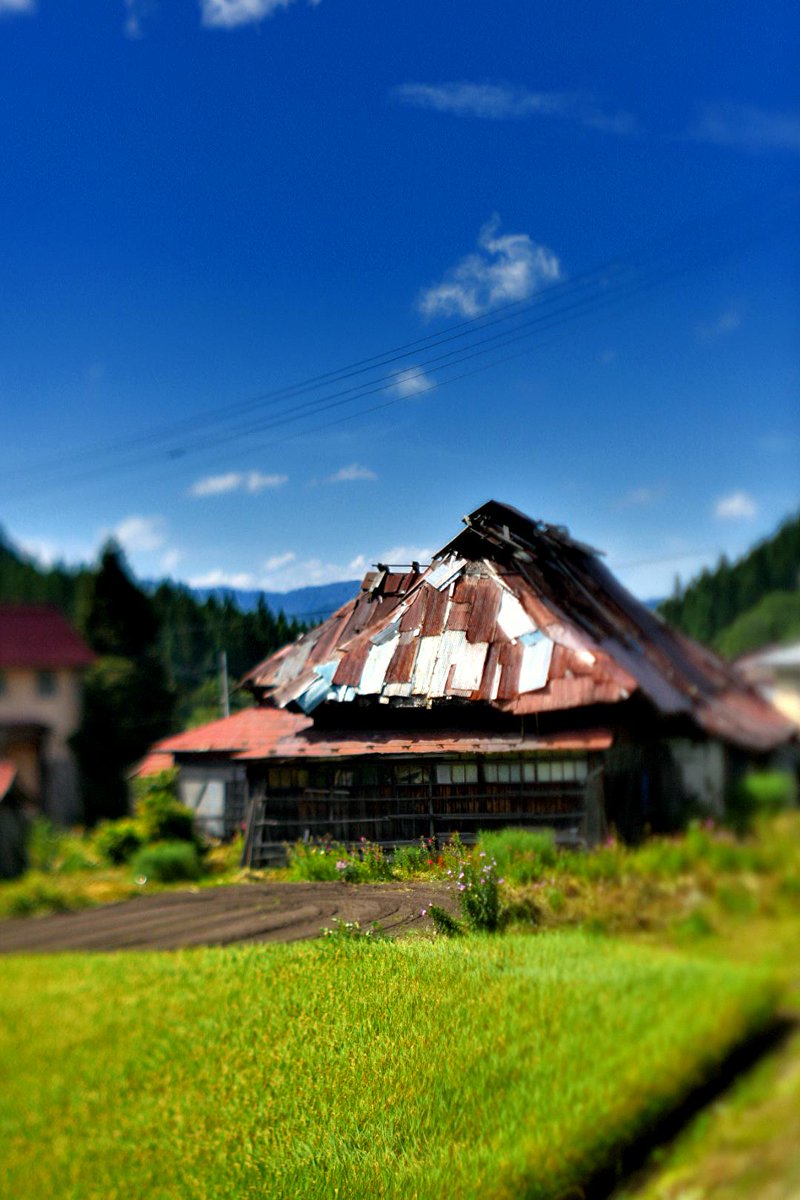 StudioRei's tweet image. トタン張り合わせの屋根も、ここまでやると芸術か。その手前の花咲く庭や田は美しく手入れがされている。一見、不協和音のようで完全和音を奏でている風景。#秋田 #湯沢 #トタン #和音 #懐古 #ティルトレンズ #写真好きな人と繋がりたい #ファインダー越しの私の世界 #ノスタルジー #ruins #urbex