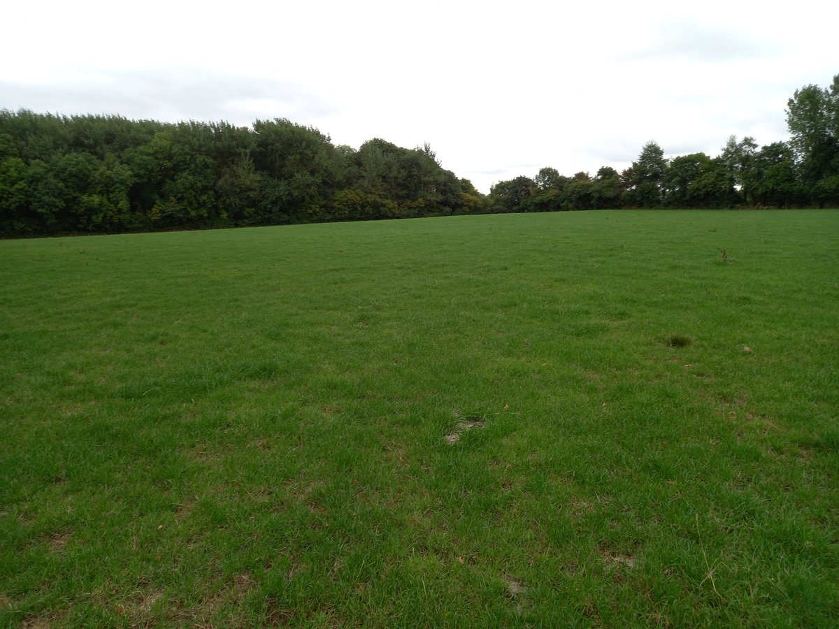 A week after the first rain and it's crazy how much the farm has greened up.
Last N was 3 weeks ago and average 140kgN/ha so far this year