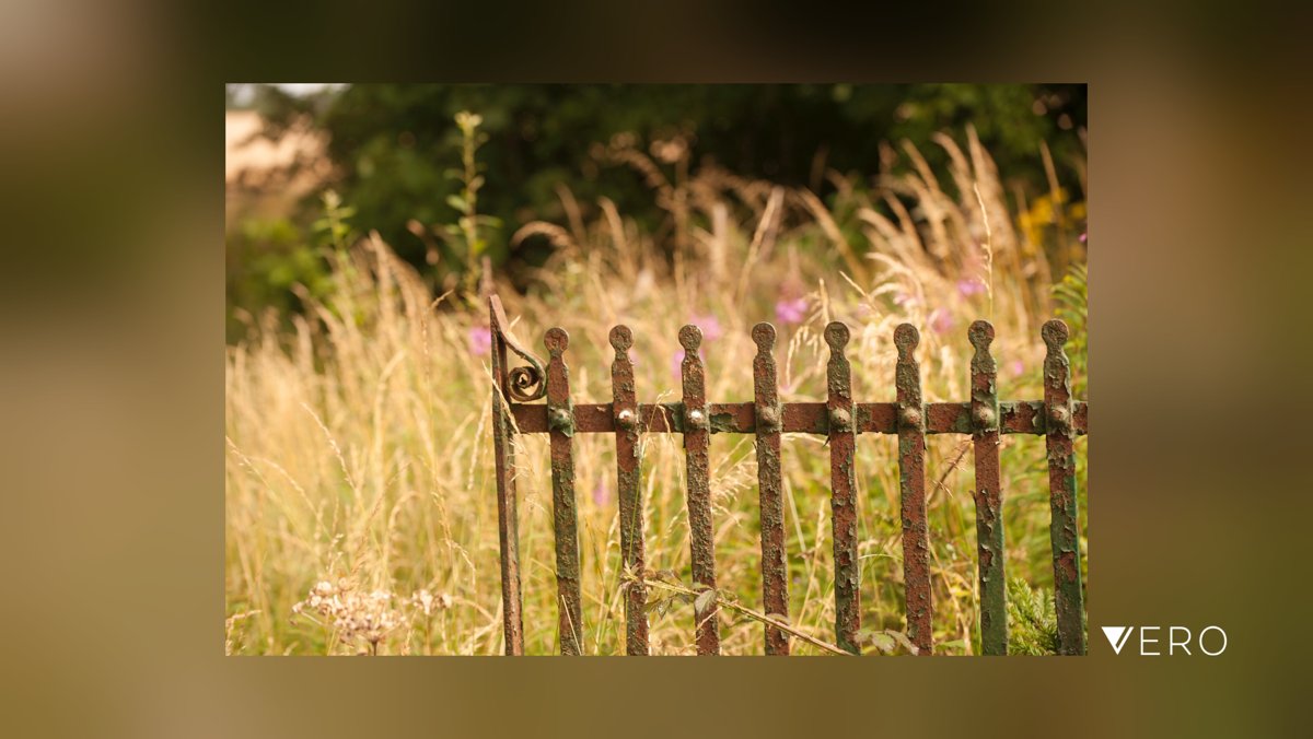 keithnmdowling's tweet photo. #Outdoors #Tranquility #Nature #gate #vero #threshold https://t.co/XJOwXgHvWF https://t.co/culwXRUknq