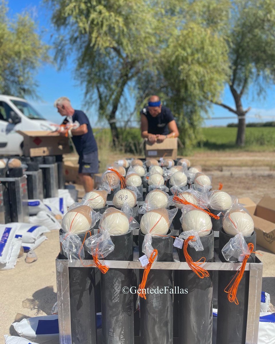 Boro.P.GentedeFallas tweet media