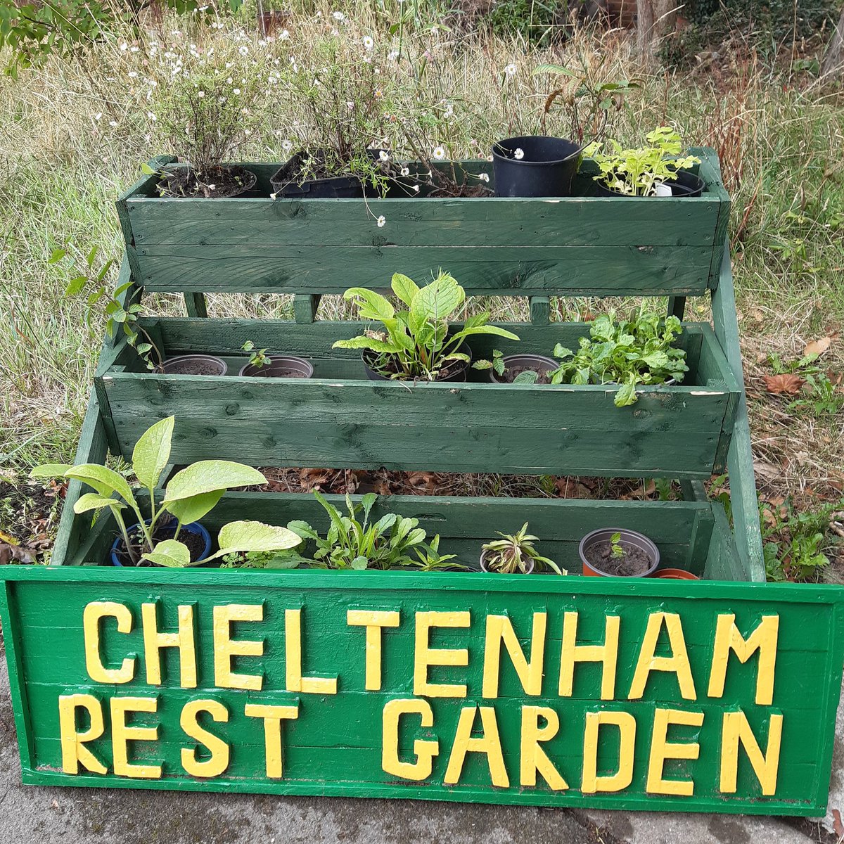 Alison, Friends of Elmfield tweet media