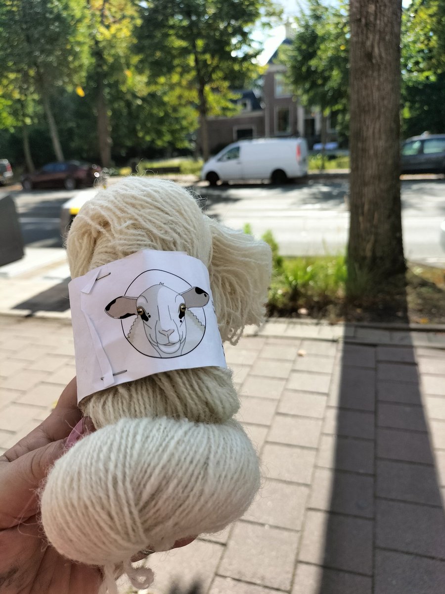 Sampfan's tweet image. T. da #020Oost soap lady (I always buy soap everywhere, chosing by the smell  it&apos;s a fetish:) has a step parent with sheep, long story short; his winter I&apos;m making my own #sheepwool 🐩 scarf