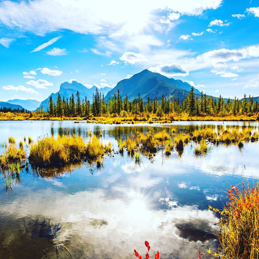 tvlwithsky's tweet photo. #Voyvio #keeptraveling #InspiraHolding #vacations #holidays #travel #travelphotography #traveling #travelblogger #travelawesome #traveladdict #travelguide #traveler #travelgram #wanderlust #traveltheworld #tourism #travelinspiration #travelinspo #autumniscoming https://t.co/XpFNruZDBk