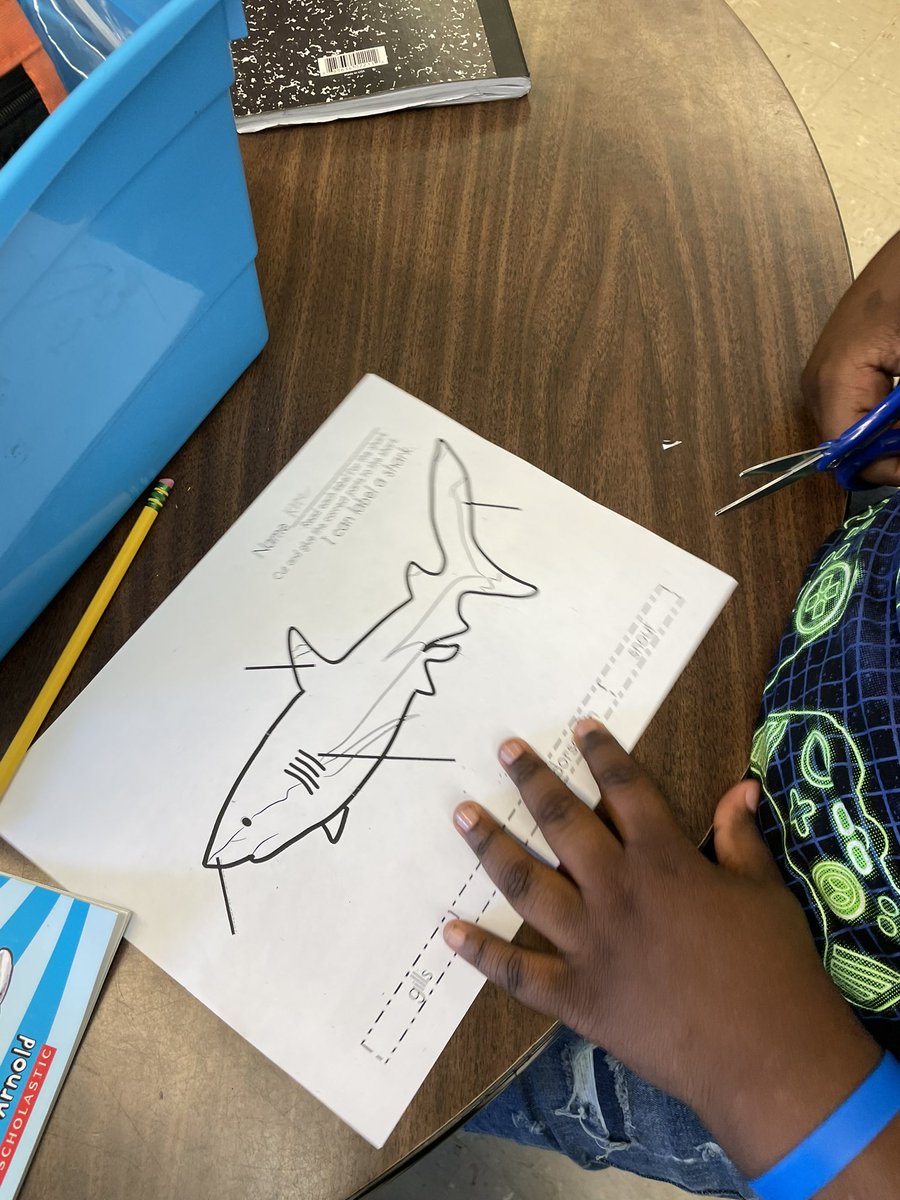 FooteMrs's tweet photo. @BATigerCubs @AnnWeintrob @AssistSupEaston @SupEaston @eafinn82 Gotta start the year diving into sharks! Already wore just about every shark outfit I have! https://t.co/lpyto5I7Z1