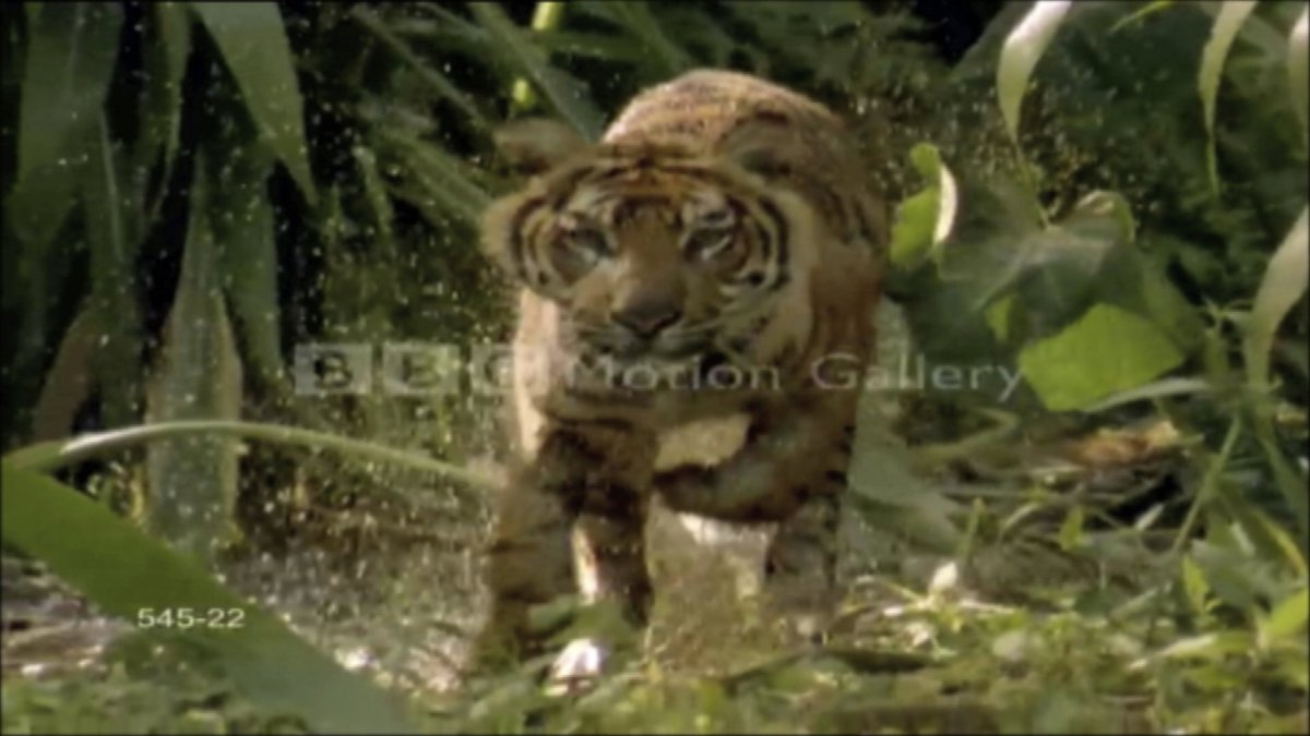 Matthew Marks tweet media