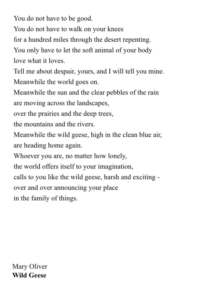 Happy birthday mary oliver thank you for birthing one of the best poems ive ever read 