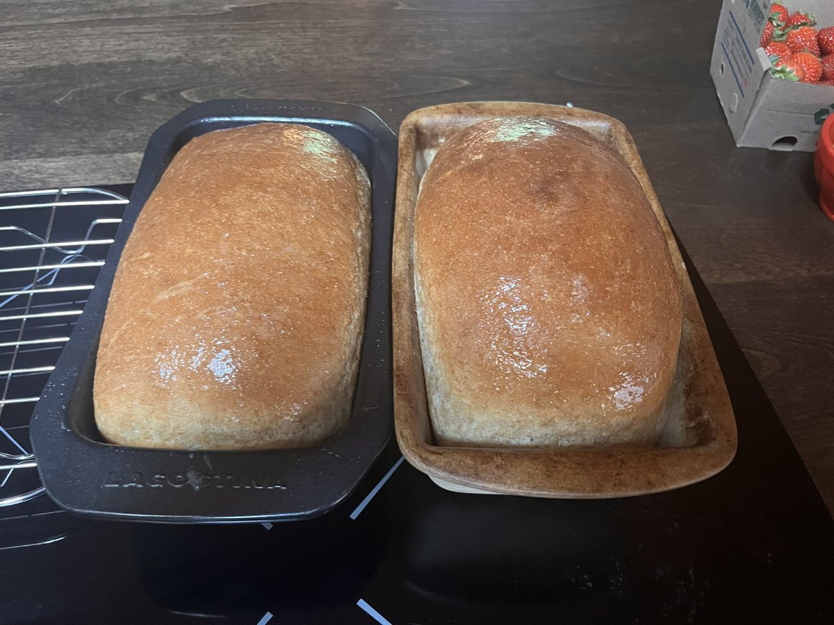 keharrison09's tweet photo. Whole-wheat stone ground agave and olive oil loaves ready for second prove and now completed. #SaturdayBake https://t.co/PVxbargPM3
