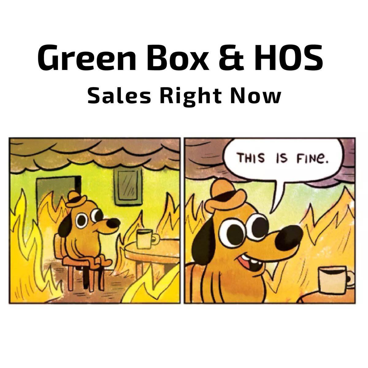 HyperNFTpro's tweet photo. Green Box and HOS NFT sales are on 🔥🔥🔥
Get yours from https://t.co/N7RkHoIBRz NOW ✨️

#HyperNFT #HOS #HyperNation #blockchain #defi #dao #ubi #utopia #NFTs #NFTCommunity #NFTcollections #GreenBox #HNGreenBox https://t.co/WyYxPEwTsq