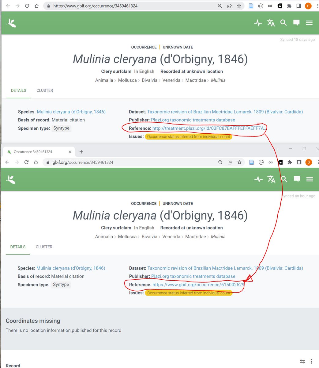 myrmoteras's tweet photo. The first live match of a material citation with a @GBIF occurrence using the #ebiodiv #matchingservive  https://t.co/aqXoXF4cYl  https://t.co/s60e4Ej5la https://t.co/fB95HmA5Wg #mademyday still ways to go, but the hand shake is made @plazi_ch @sibliterature @CH_universities https://t.co/m3IJ2DUfE3
