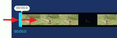 pcdazero's tweet photo. Vuoi ritagliare un video? Nulla di più semplice! Segui questo tutorial: https://t.co/XYFiUQdZnL https://t.co/6ntYCxrbhG