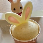 ツイートに含まれる画像