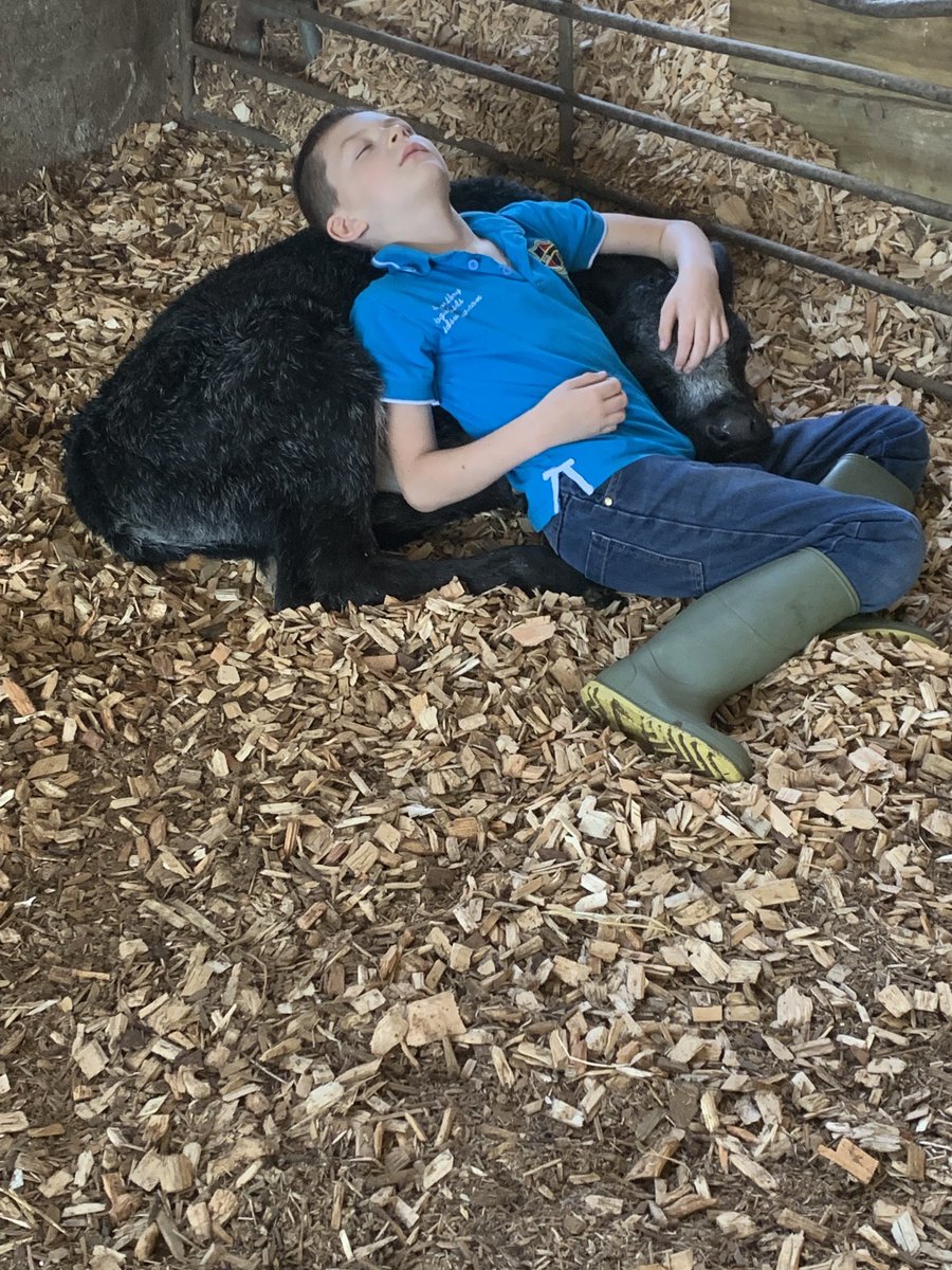 Andrew Brewer tweet media